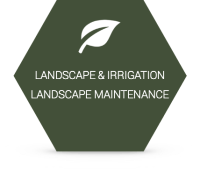 img-erw-landscape